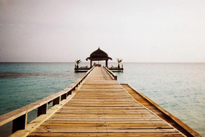 Lorem ipsum placeholder image 2